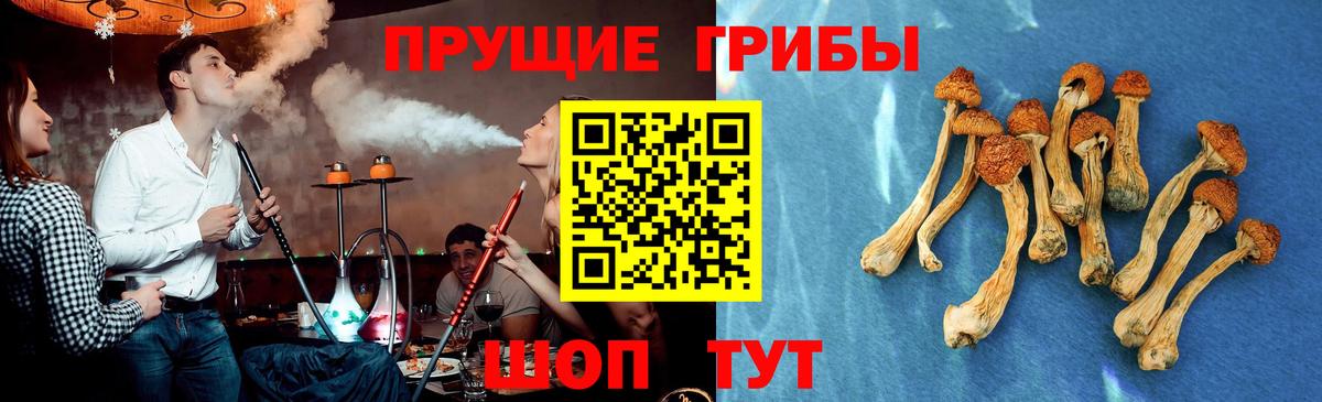 Белорецк  Галлюциногенные грибы Psilocybe  Псилоцибиновые грибы мухоморы  Вход с VPN 